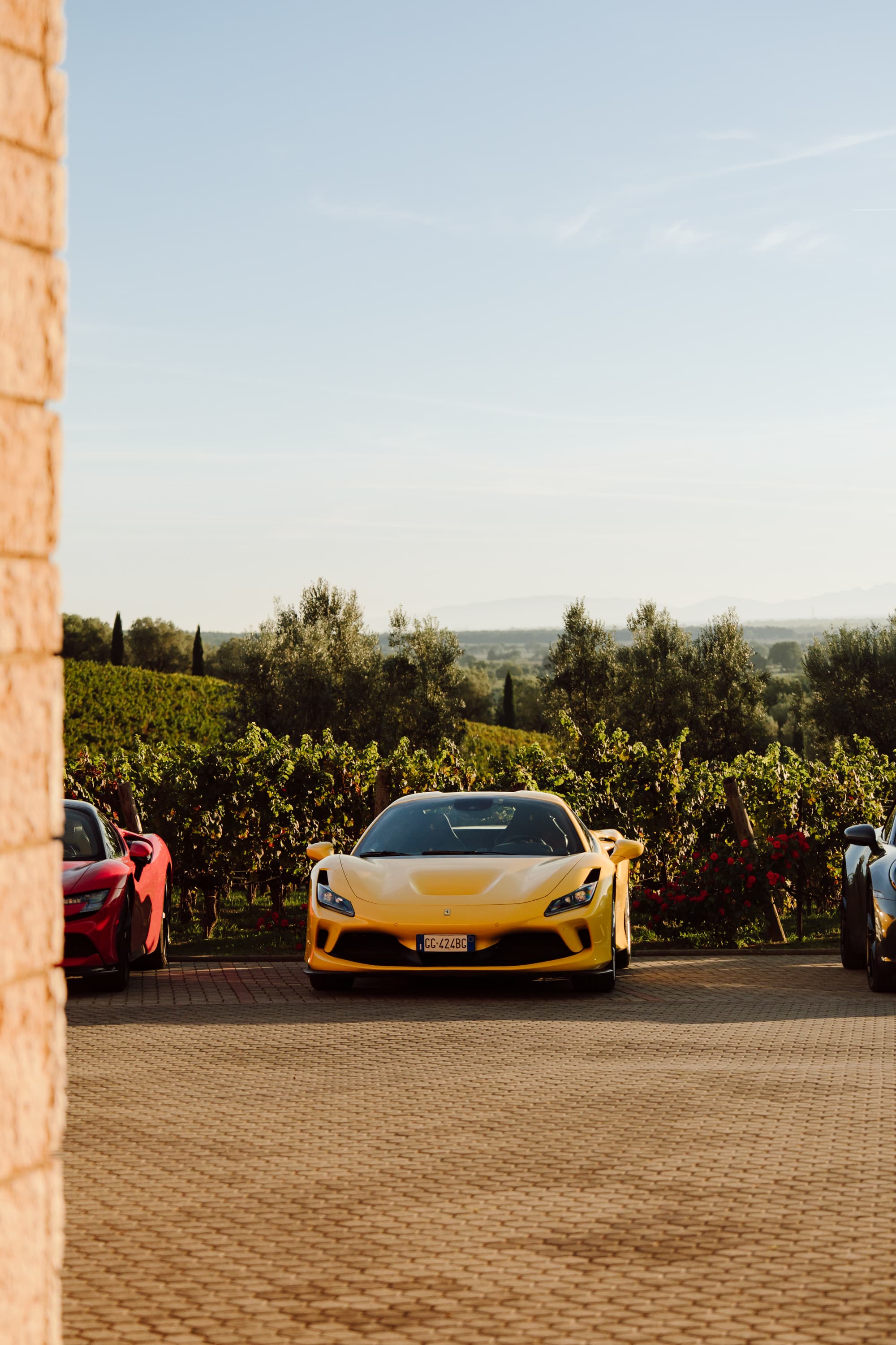 Supercar tra i vigneti toscani verso Bolgheri