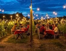 Tour in Auto d'Epoca, Siena – Monteriggioni