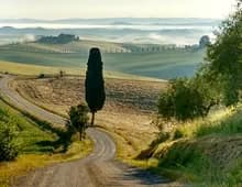Tour in Auto d'Epoca, Siena – Monteriggioni