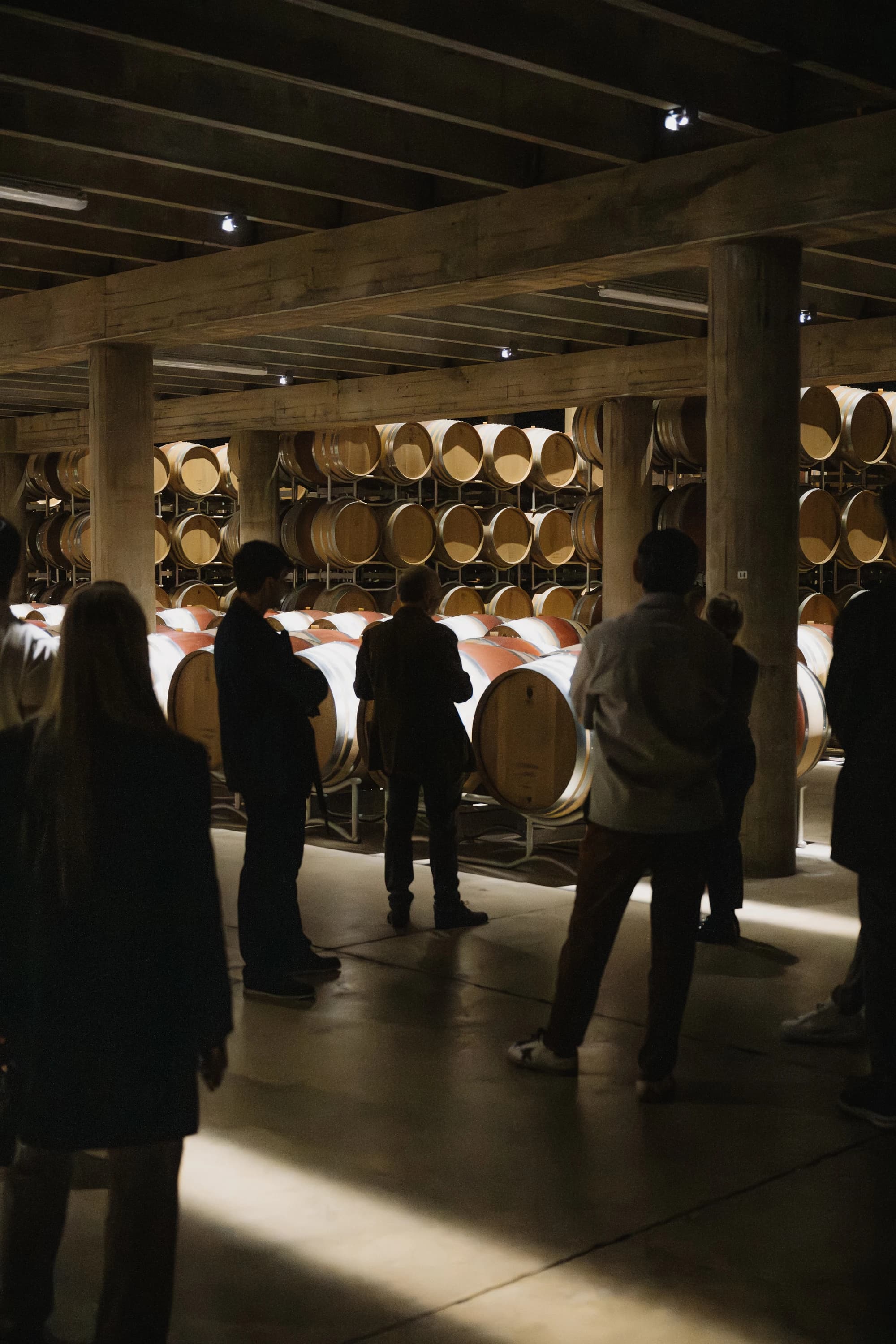 Tour Privato del Brunello con Autista, Due Cantine e Pranzo Toscano