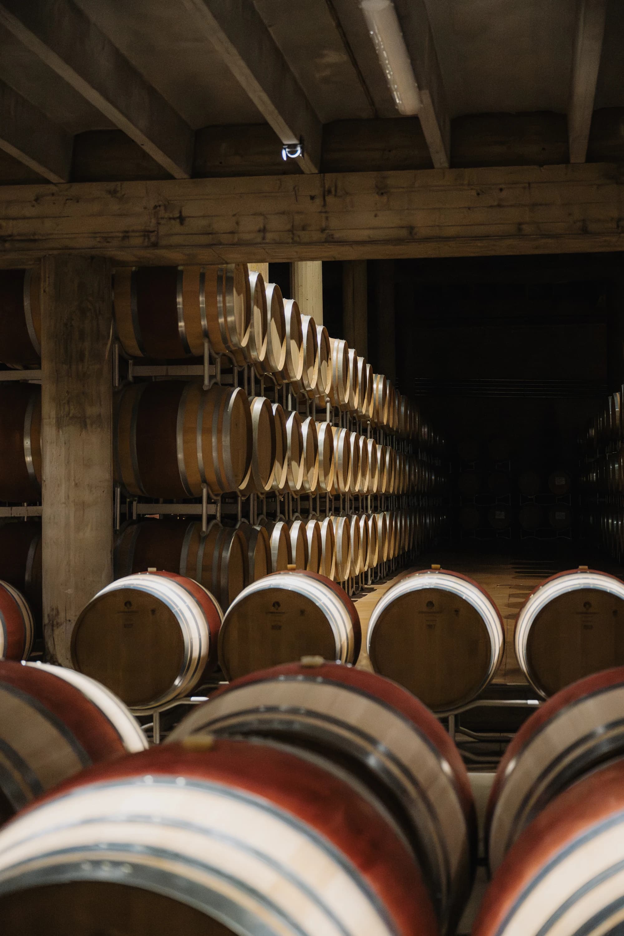Tour Privato del Brunello con Autista, Due Cantine e Pranzo Toscano