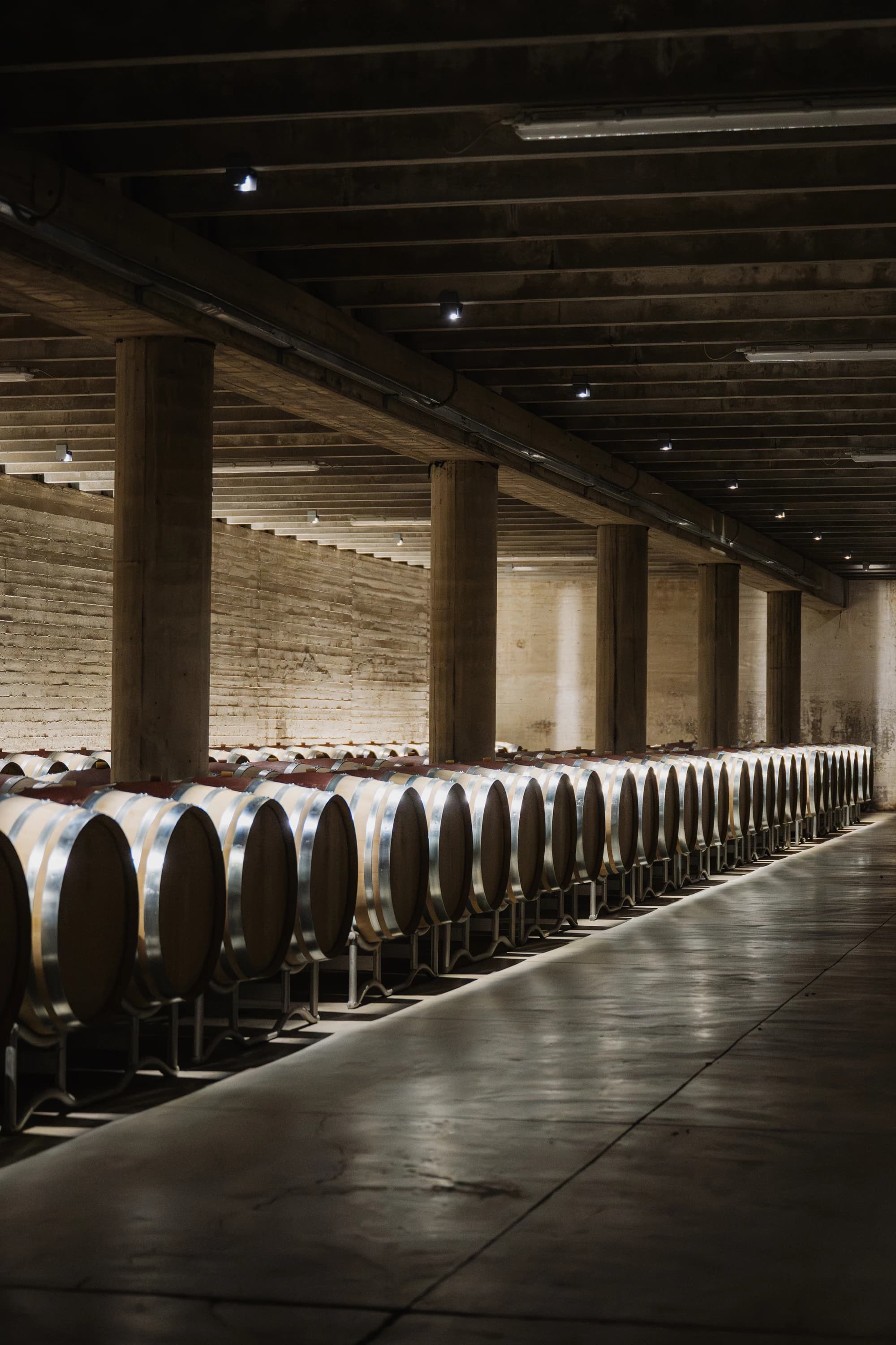 Tour Privato del Brunello con Autista, Due Cantine e Pranzo Toscano