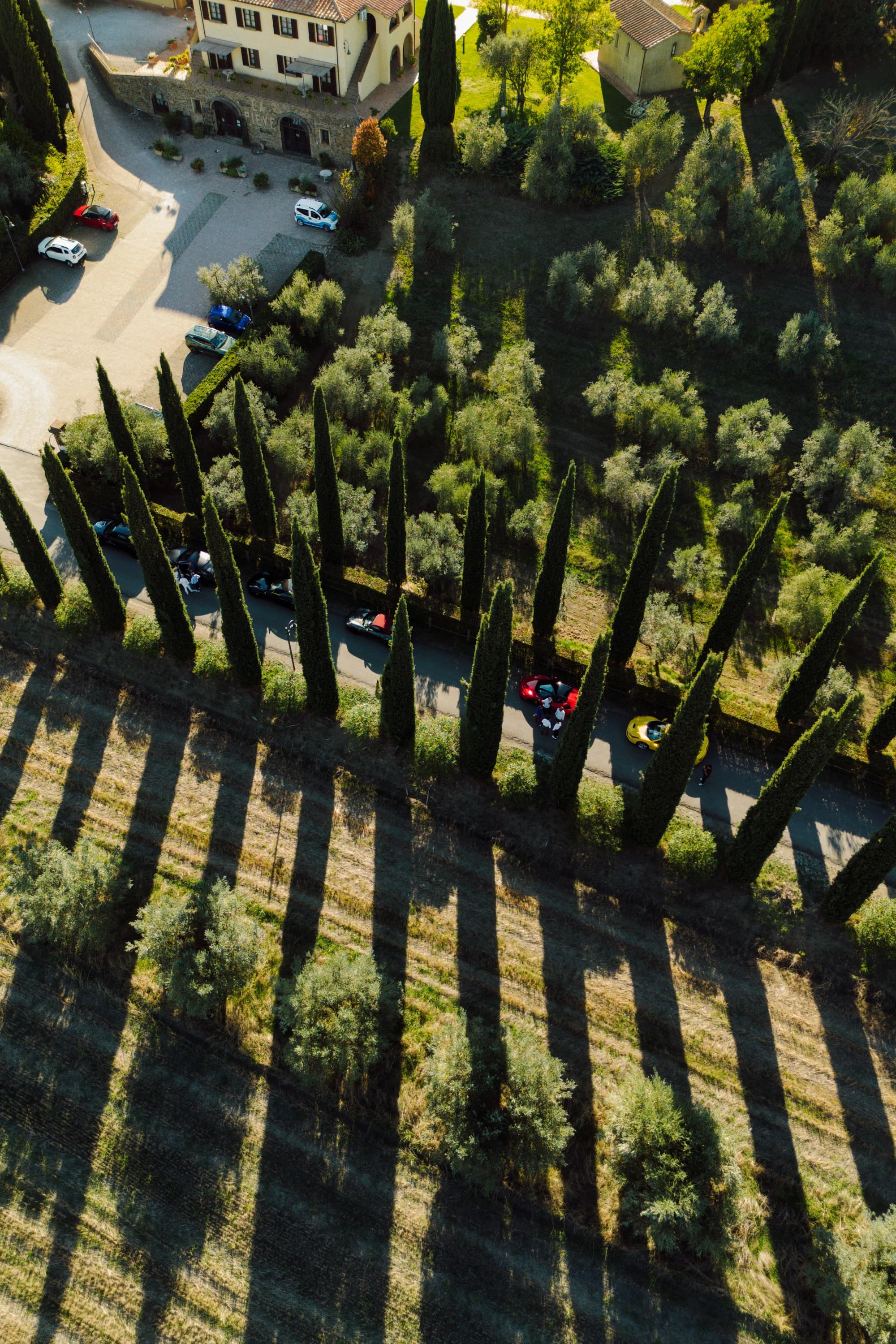 Tour Privato del Rosso di Montepulciano