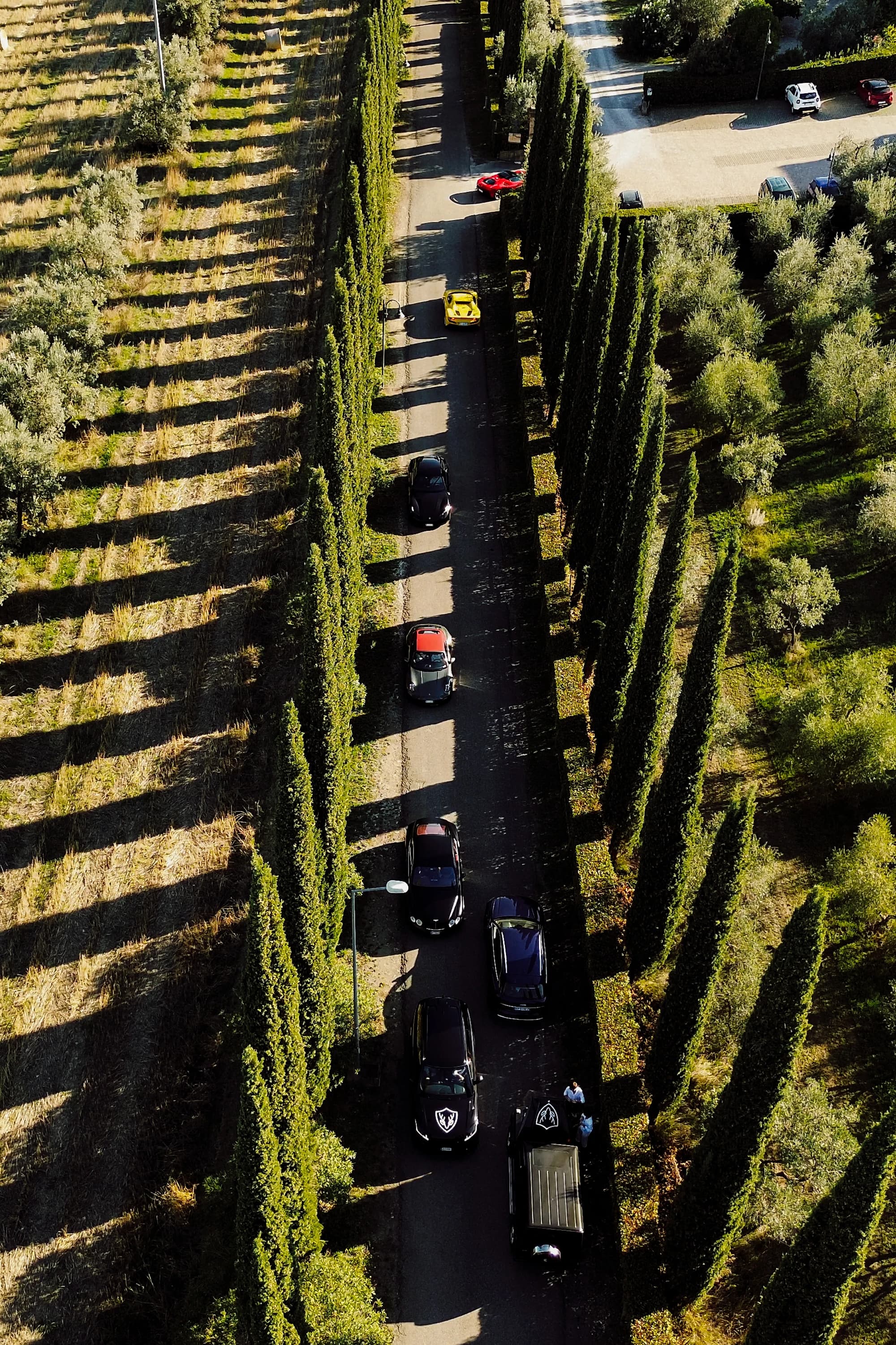 Tour Privato del Rosso di Montepulciano