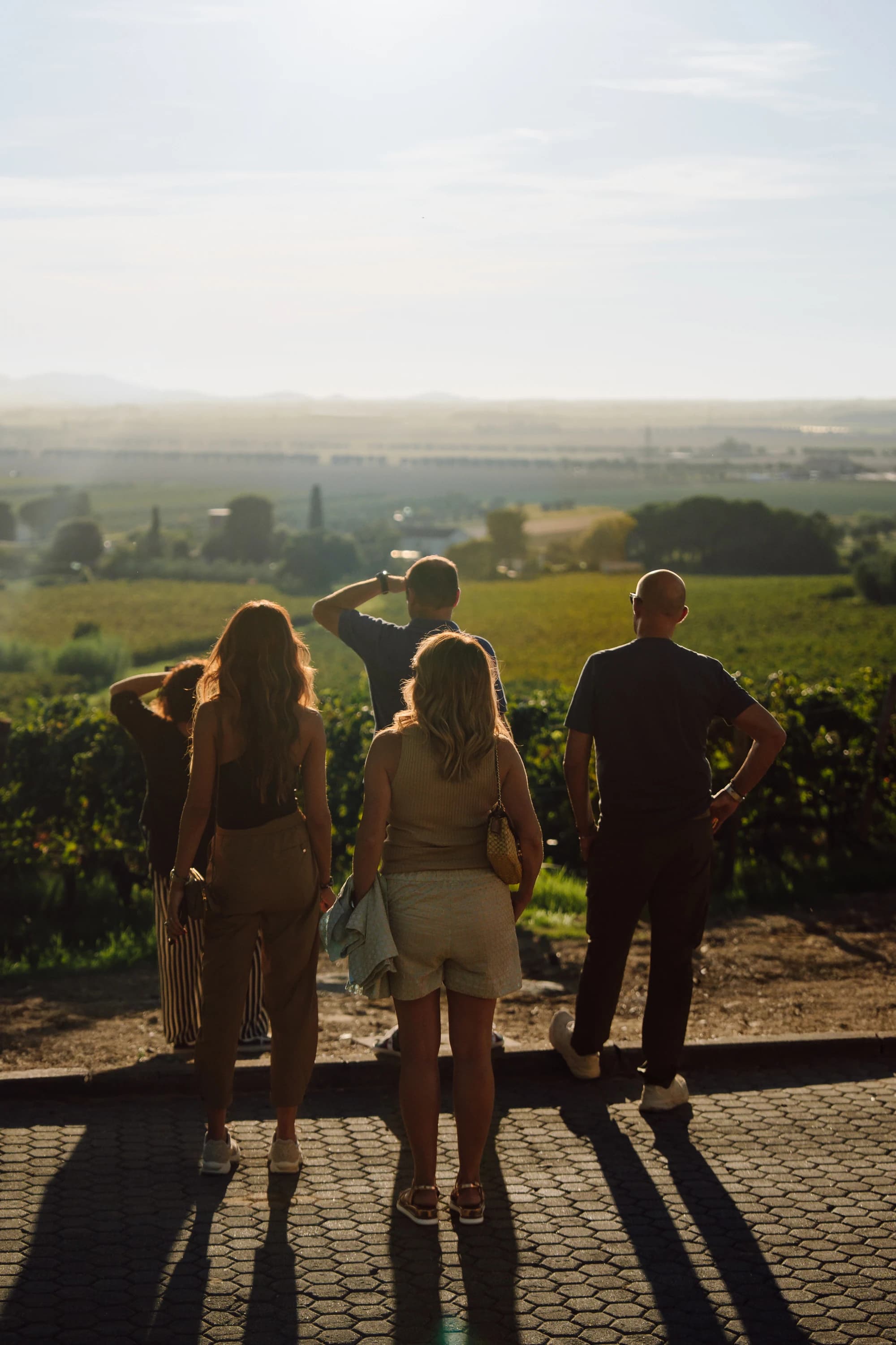 Tour Privato del Rosso di Montepulciano