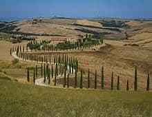 Supercar Experience in Siena and Val d'Orcia with Lunch