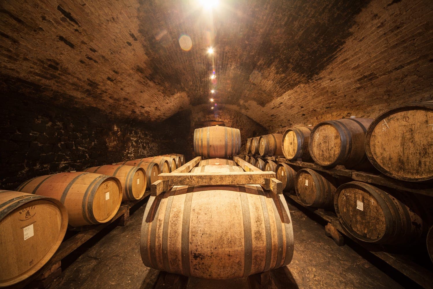 Cantina storica del Castello della Paneretta con le botti di rovere illuminate da un raggio di luce