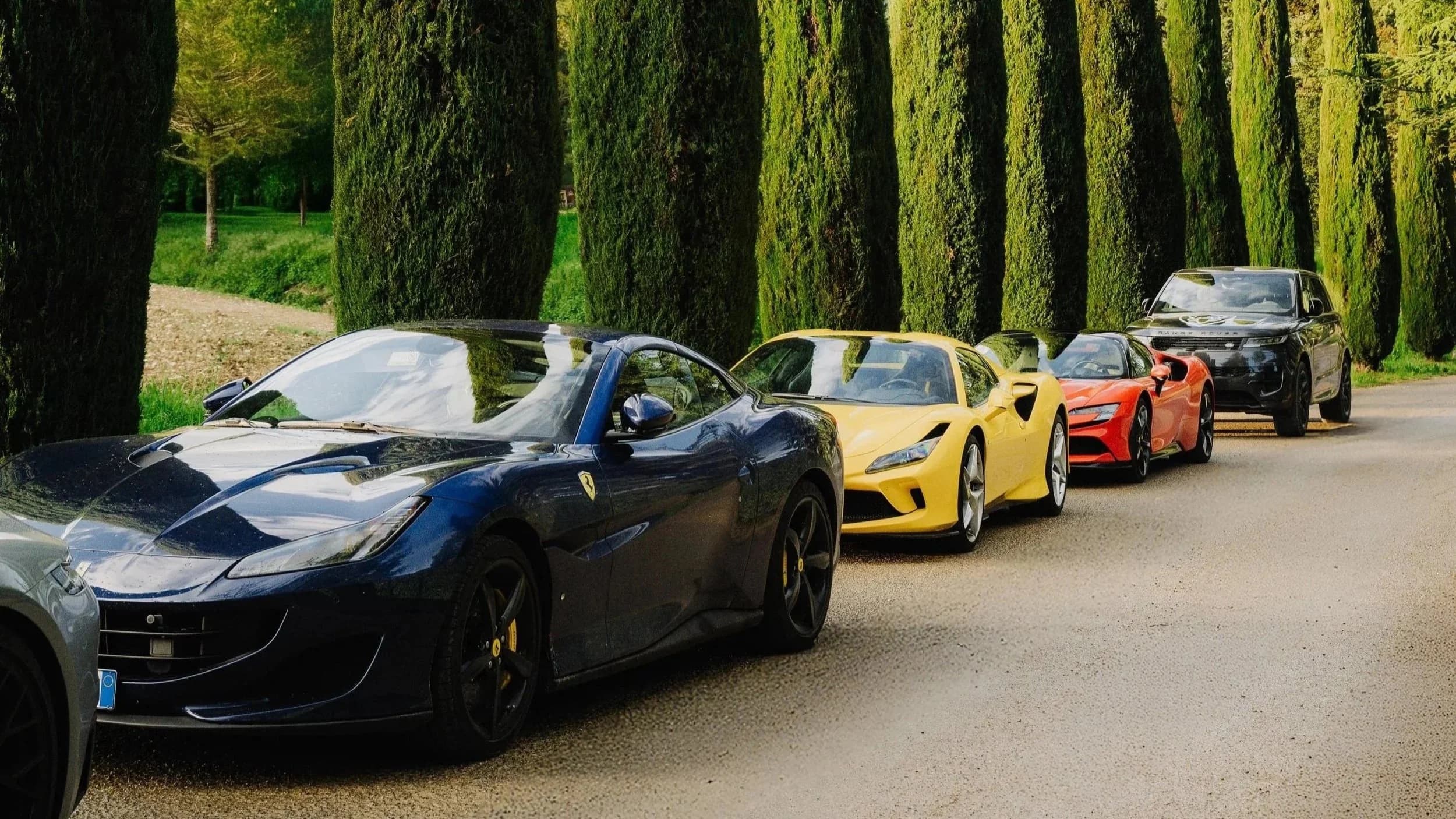 Supercar in fila lungo un viale di cipressi in Toscana — Rocca d'Italia
