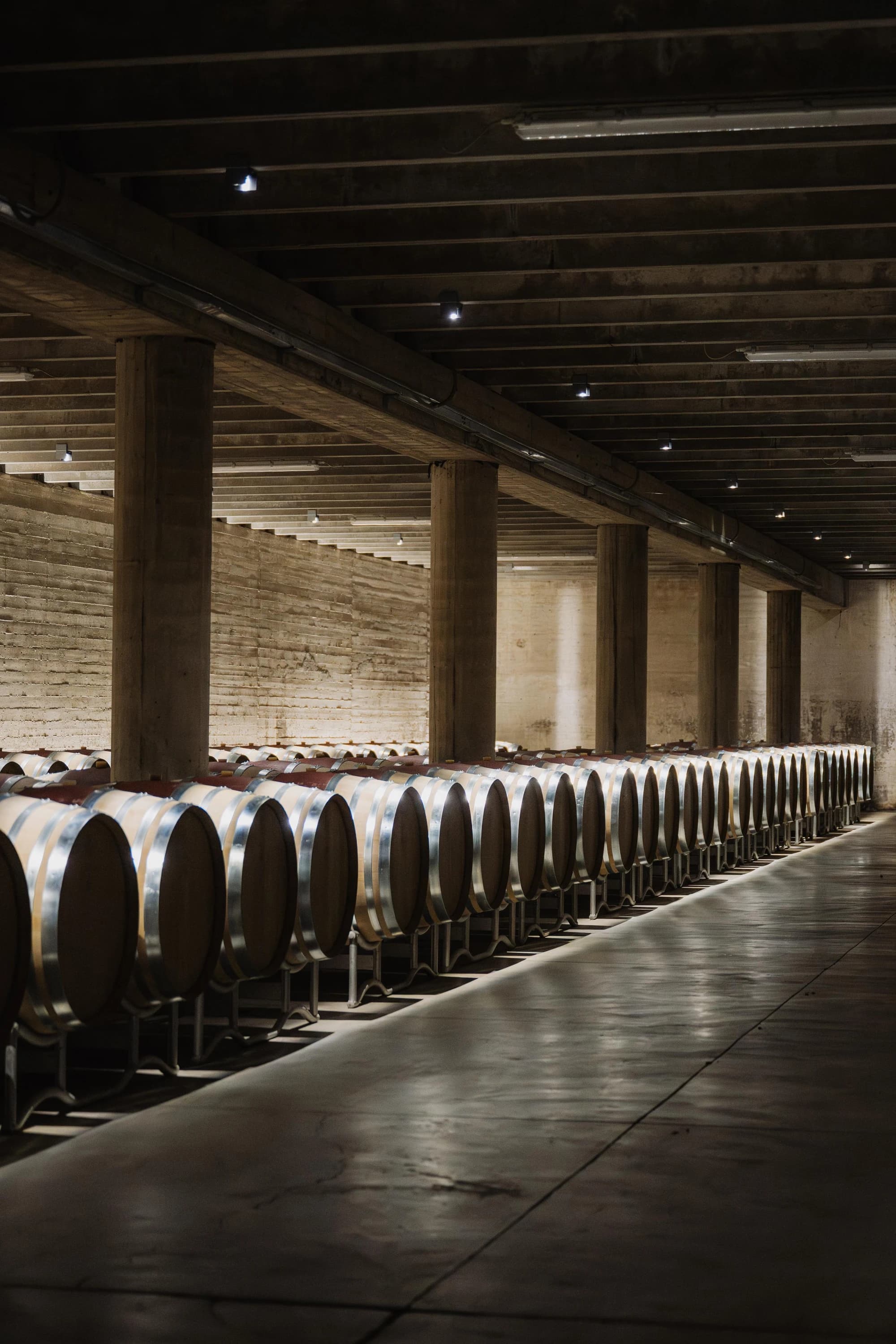 Tour Privato del Chianti Classico con Autista, Due Cantine e Pranzo Toscano