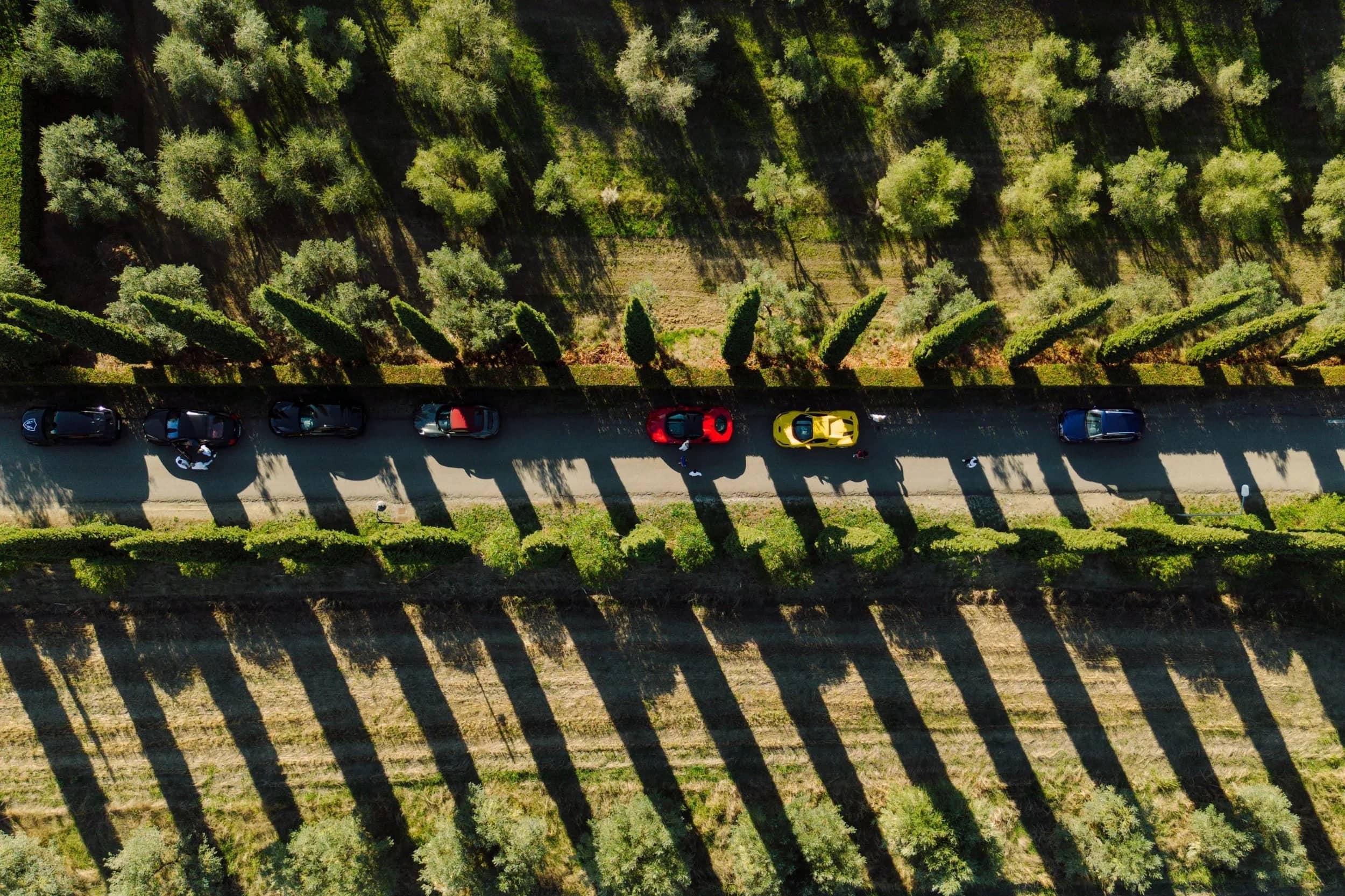 Supercar su una strada toscana fiancheggiata da cipressi